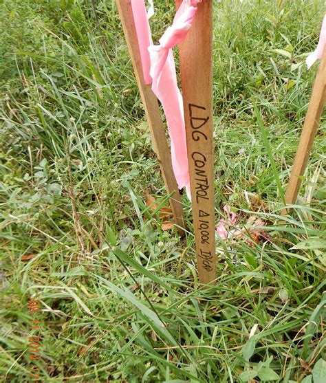 survey stake markings.